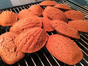 chocolate madeleines